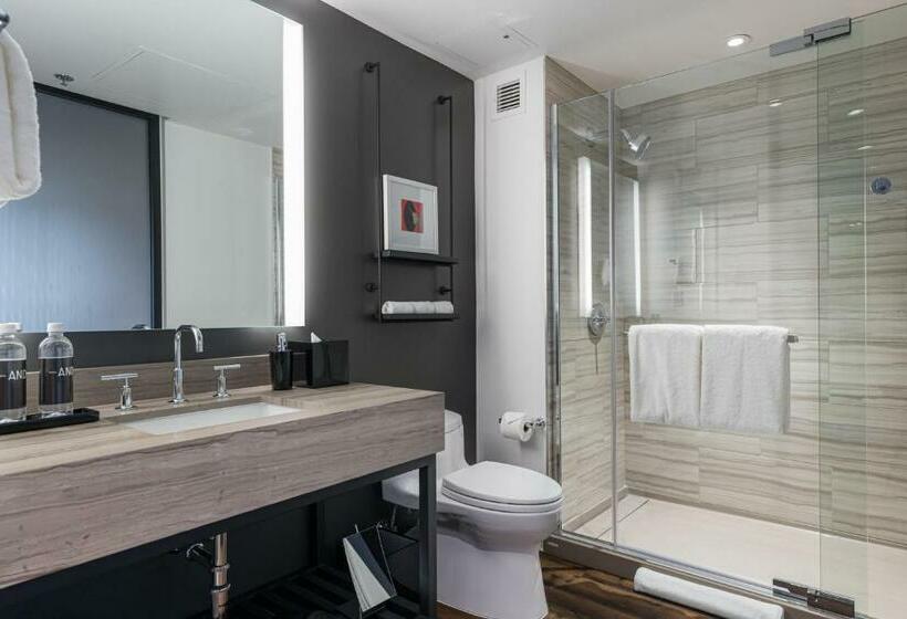 Номер Премиум, Shashi Hotel Mountain View Palo Alto