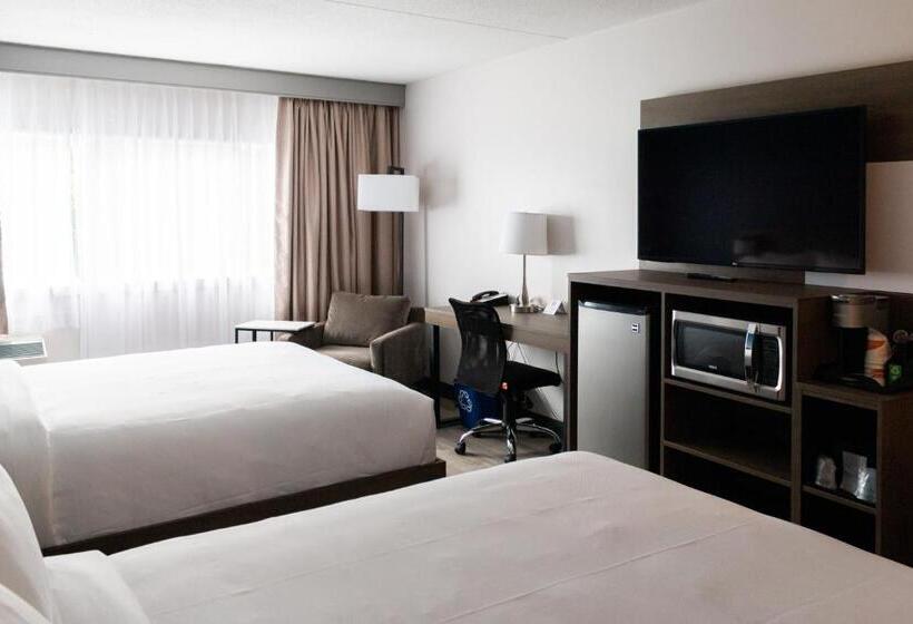 スタンダードルーム, Comfort Suites Kingston Central