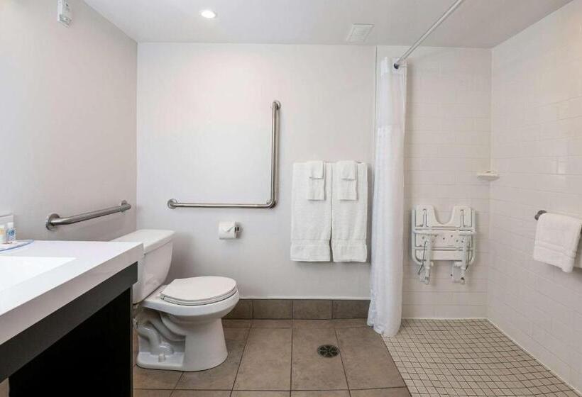 身障者適用スタンダードルーム, Comfort Suites Kingston Central