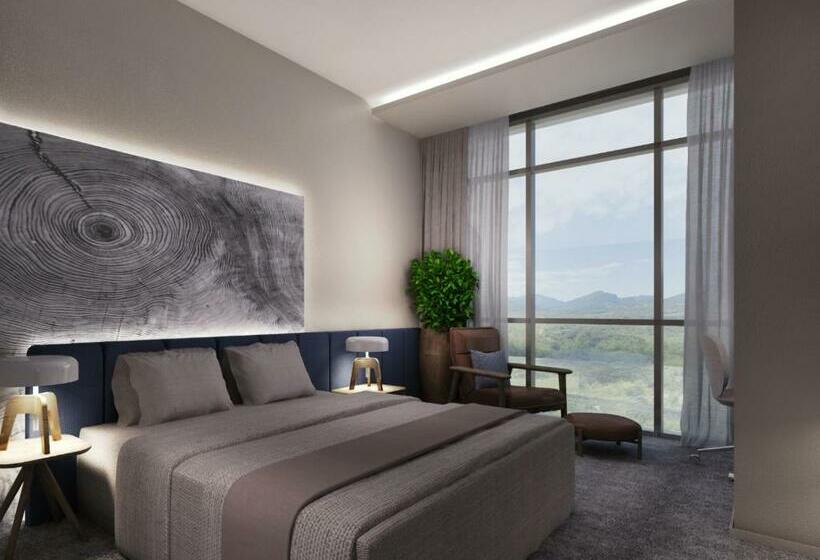 اتاق سوپریور با تخت بزرگ, Park Dedeman Kastamonu
