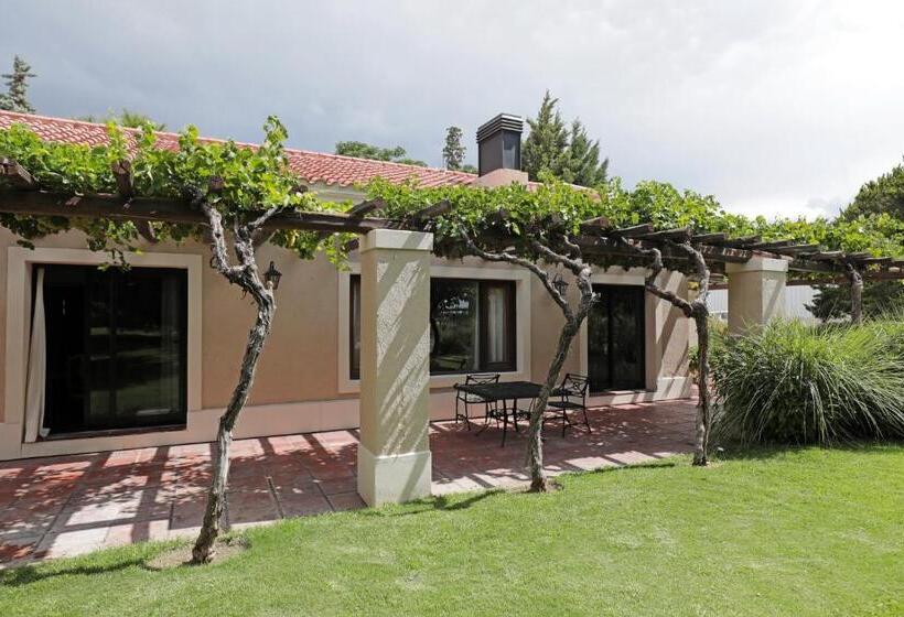一居室高级别墅, Casa Agostino   Luxury Wine And Hotel In Bodega Agostino