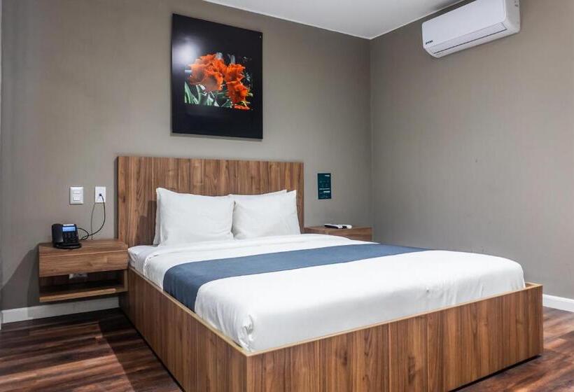 수피리어 룸, Equo Hotel Boutique