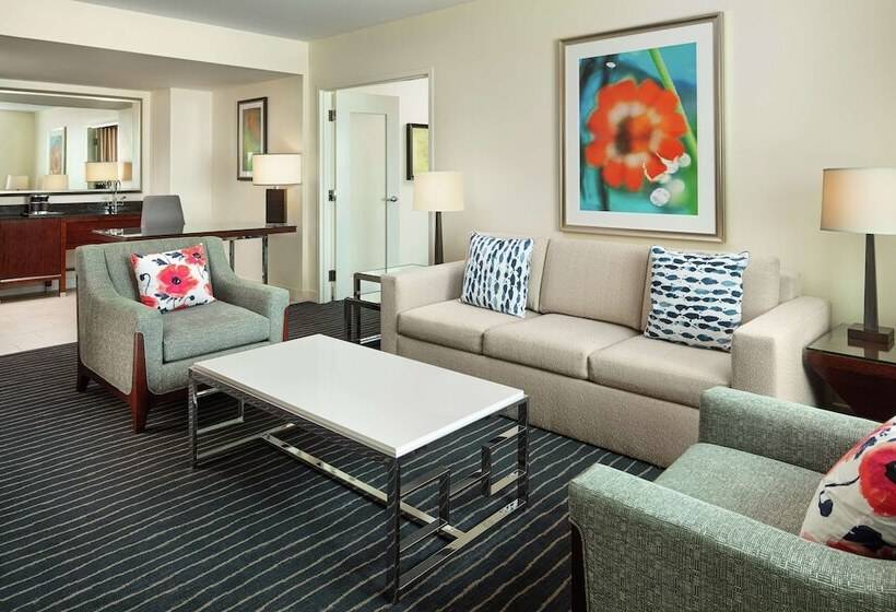 Люкс, Hilton Orlando