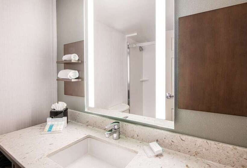 Стандартный Номер Кровать Кинг, Hilton Orlando