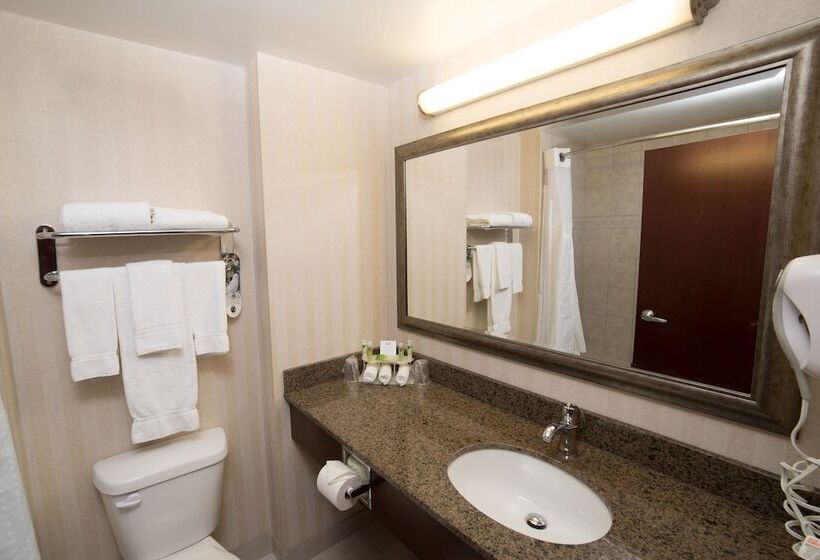 Номер Стандарт, Holiday Inn Express Hotel & Suites   Slave Lake, An Ihg