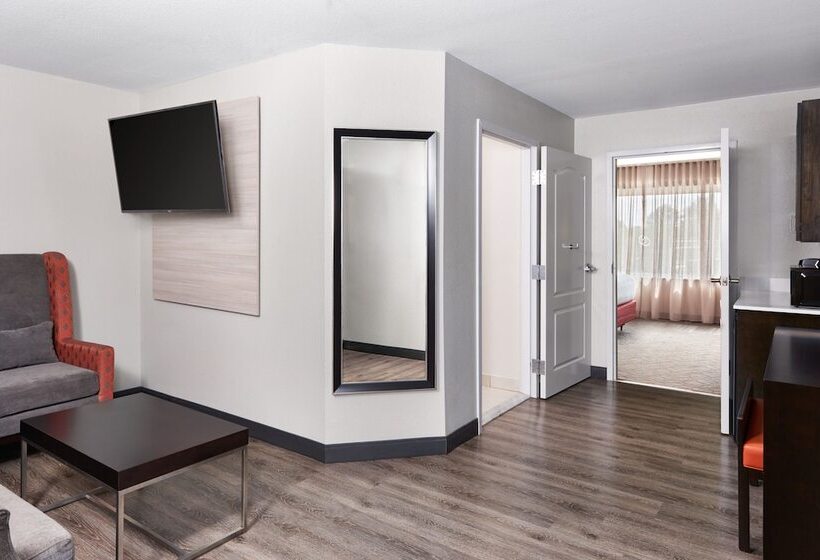 Люкс Адаптированный для Инвалидов, Springhill Suites By Marriott Conyers