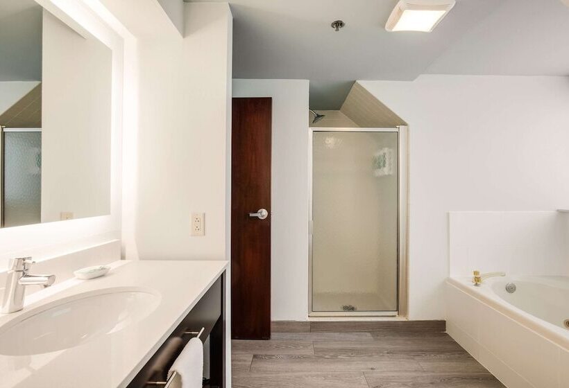 Люкс, Heidel House Hotel And Conference Center, Ascend Hotel Collection