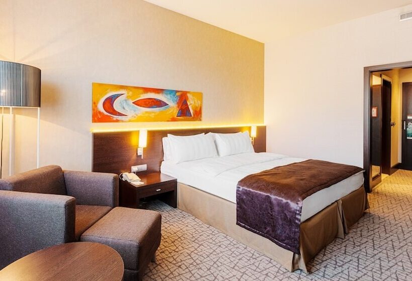 اتاق استاندارد با چشم‌انداز شهر, Holiday Inn Zilina, An Ihg