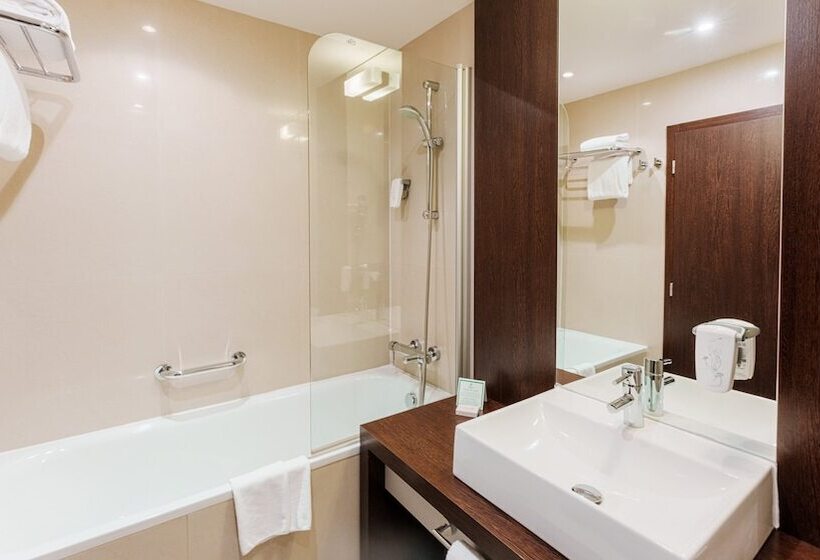 اتاق استاندارد با تخت دوبل, Holiday Inn Zilina, An Ihg