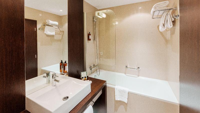 اتاق استاندارد با تخت بزرگ, Holiday Inn Zilina, An Ihg