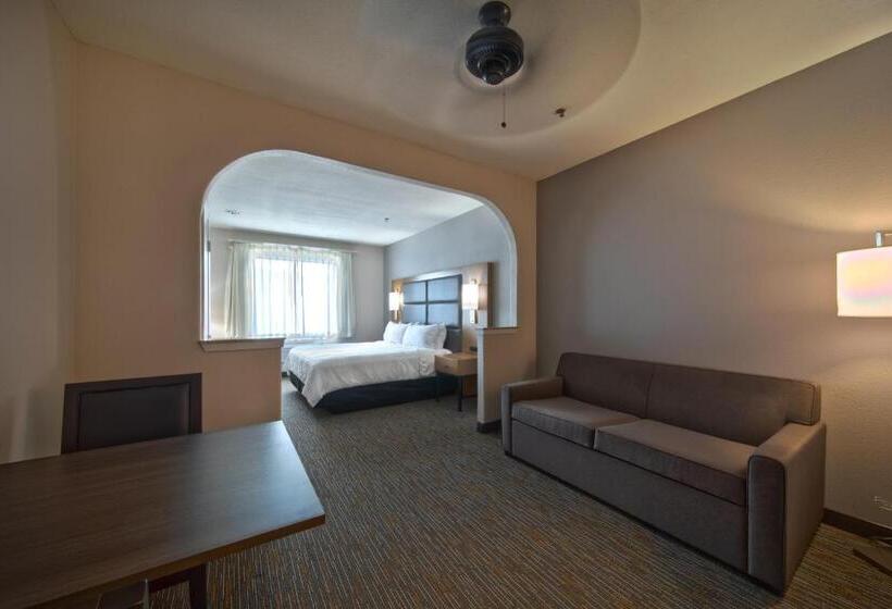 Люкс Deluxe Кровать Кинг, Wingate By Wyndham Houston Bush Intercontinental Airport
