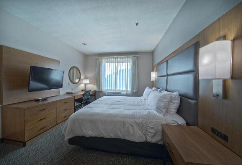 Номер Стандарт Кровать Кинг Адаптированный для Инвалидов, Wingate By Wyndham Houston Bush Intercontinental Airport