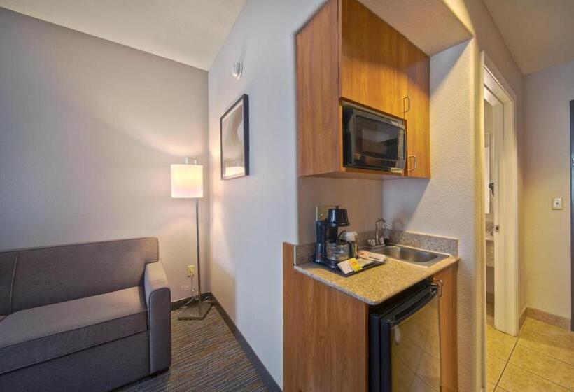 سوئیت برای معلولان, Wingate By Wyndham Houston Bush Intercontinental Airport