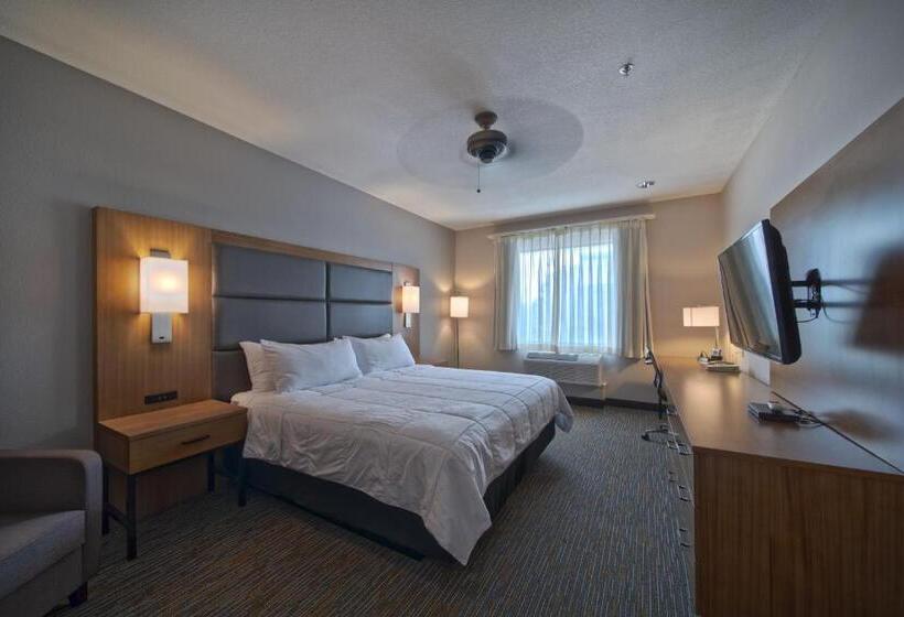 Люкс Адаптированный для Инвалидов, Wingate By Wyndham Houston Bush Intercontinental Airport