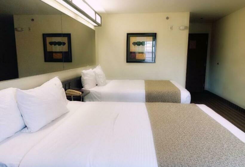 スタンダードルーム, Microtel Inn And Suites By Wyndham Toluca