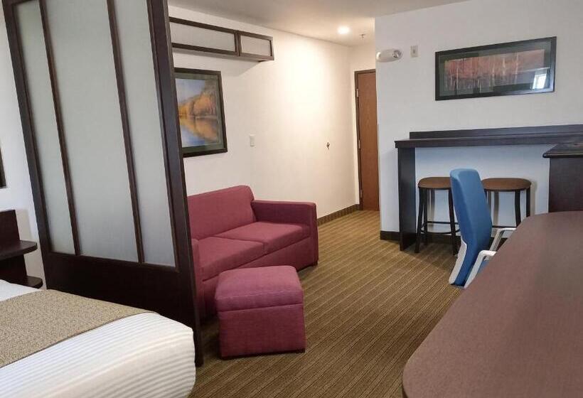 スイート, Microtel Inn And Suites By Wyndham Toluca