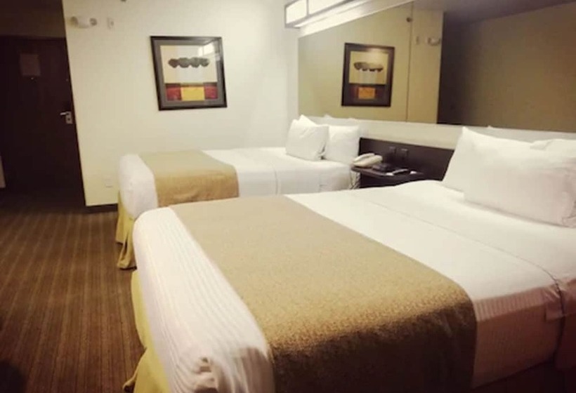 スタンダードルーム, Microtel Inn And Suites By Wyndham Toluca