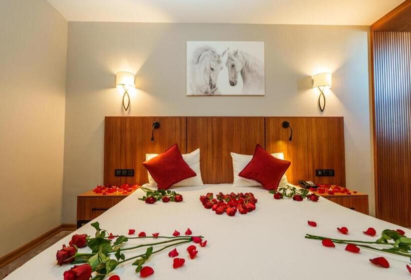 豪华房间, Library Hotel Erciyes