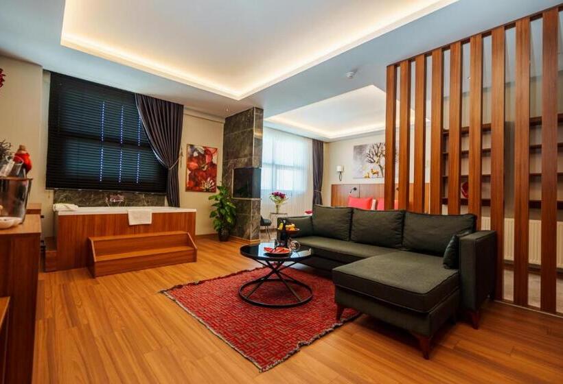 带大床的套房, Library Hotel Erciyes