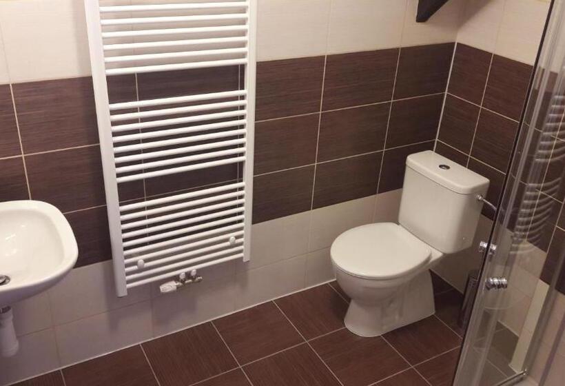 Апартаменты 1 Спальня, Penzion Rozhovice