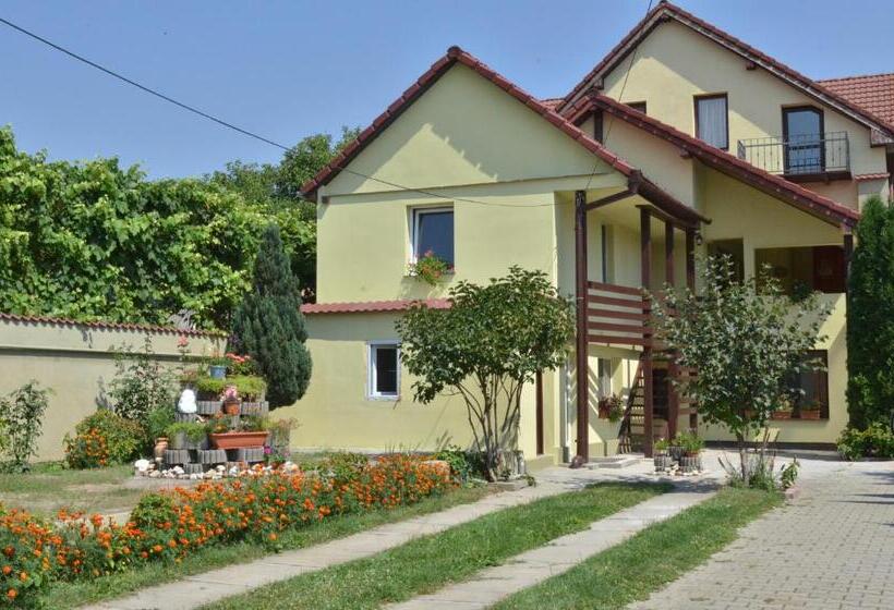 Студия Стандарт, Vila Bel Ami