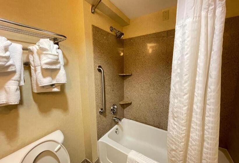 Номер Стандарт 2 Двуспальные Кровати, Comfort Suites Fredericksburg North