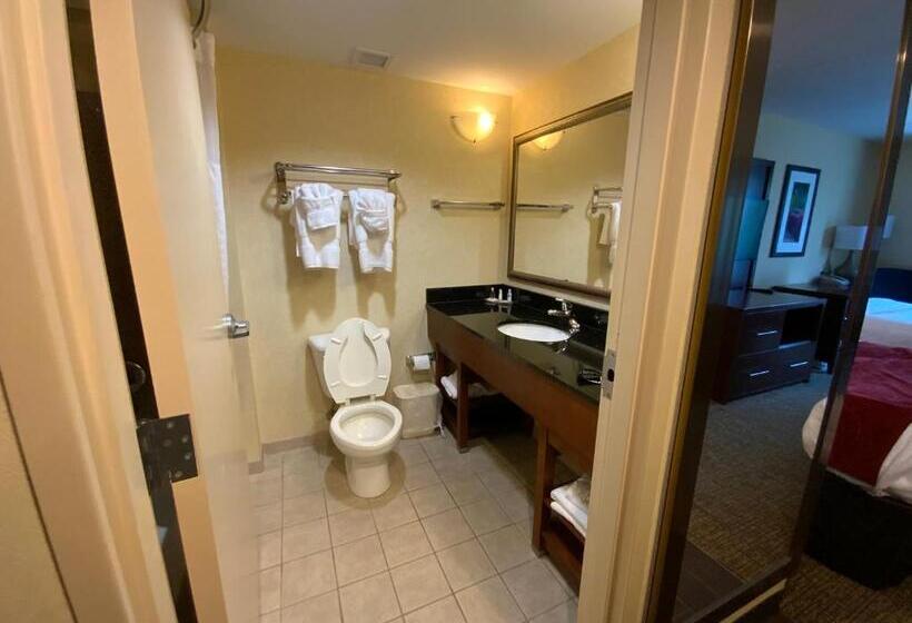 Люкс, Comfort Suites Fredericksburg North