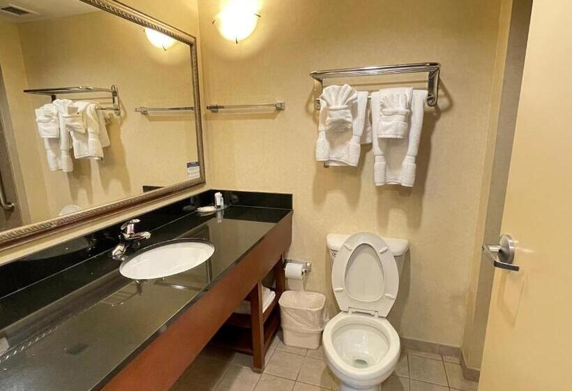 Люкс Кровать Кинг, Comfort Suites Fredericksburg North