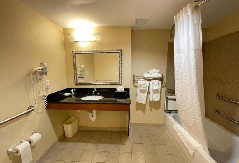 Номер Стандарт Кровать Кинг Адаптированный для Инвалидов, Comfort Suites Fredericksburg North
