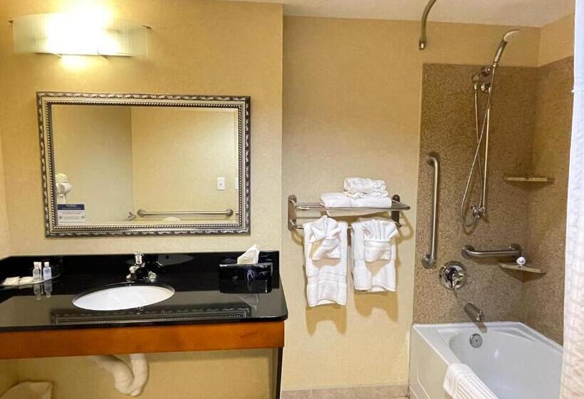 Номер Стандарт Кровать Кинг Адаптированный для Инвалидов, Comfort Suites Fredericksburg North