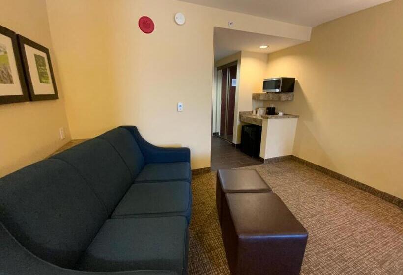 Люкс Адаптированный для Инвалидов, Comfort Suites Fredericksburg North
