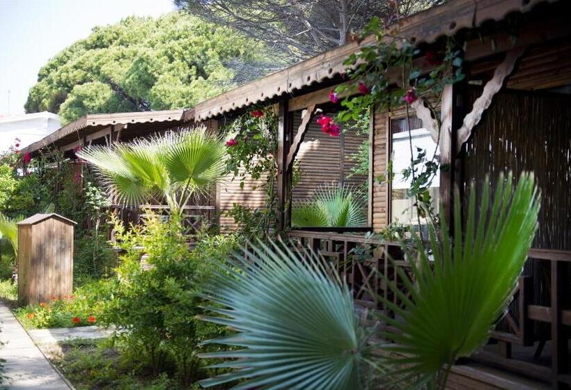 Бунгало Стандарт, Flora Garden Beach Club   All Inclusive