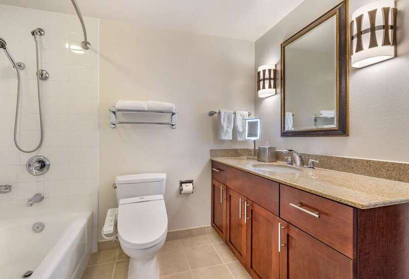 Апартаменты 2 Спальни Вид на Море, Hilton Grand Vacations Club At Hilton Hawaiian Village