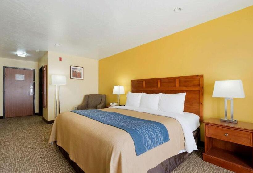 Стандартный Номер Кровать Кинг, Comfort Inn & Suites