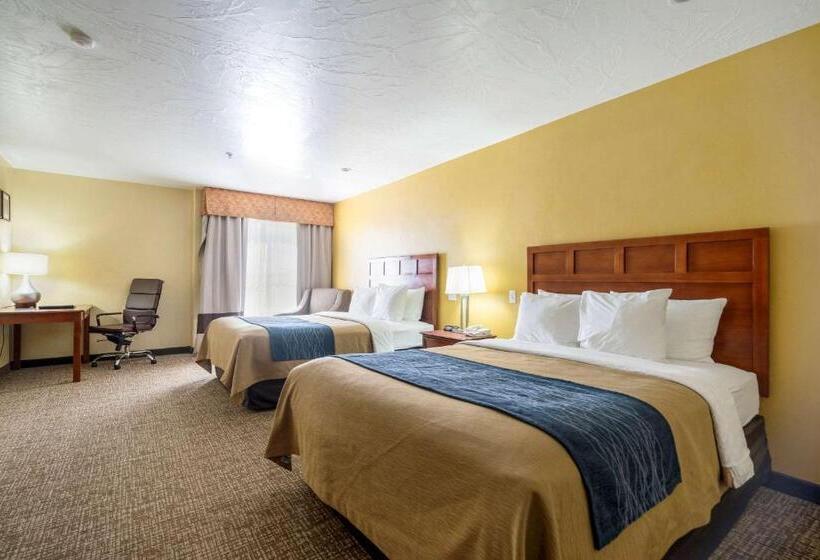 Номер Стандарт, Comfort Inn & Suites