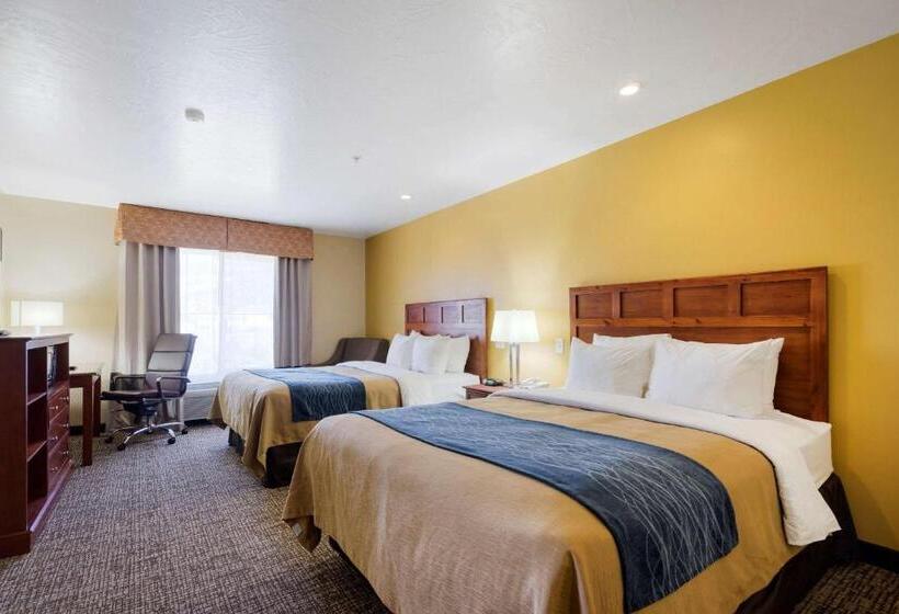 Люкс, Comfort Inn & Suites