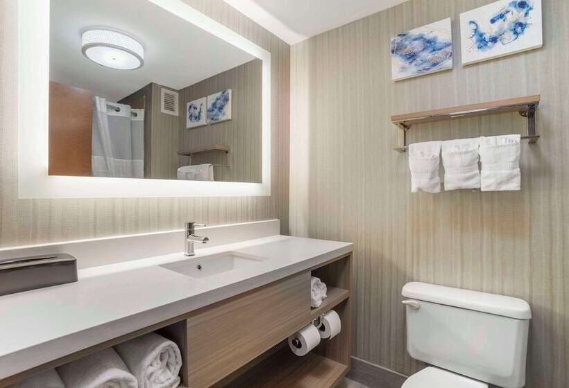 Люкс, Comfort Suites At Westgate Mall
