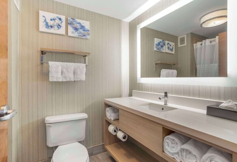 Люкс, Comfort Suites At Westgate Mall