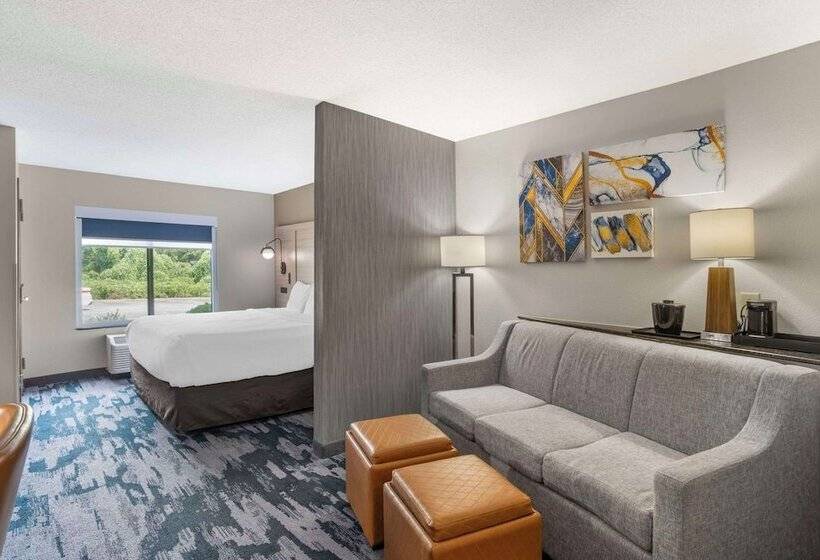 Люкс, Comfort Suites At Westgate Mall