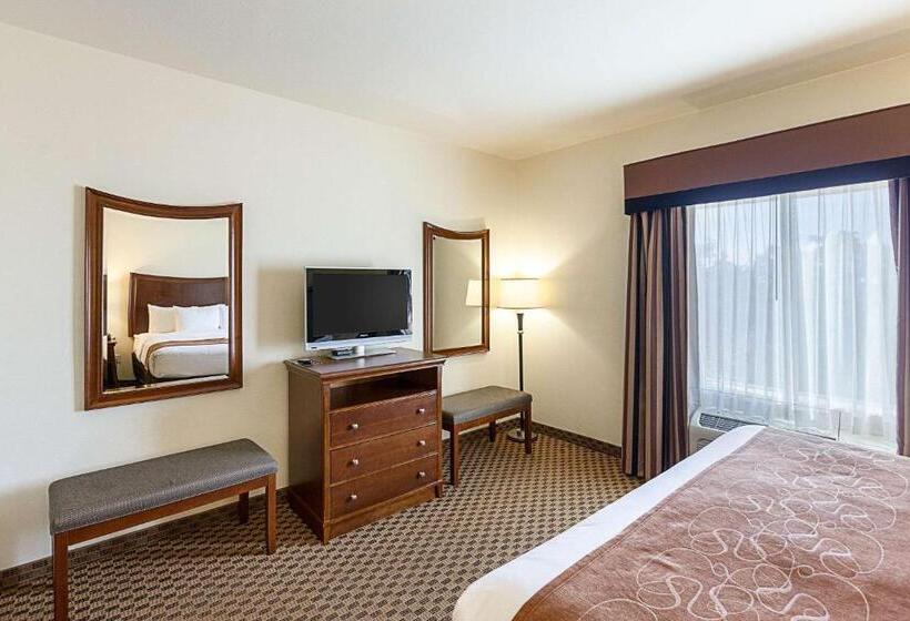 מיטת קינג בסוויטה, Comfort Suites San Antonio North  Stone Oak
