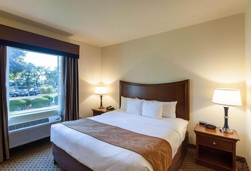 סוויטה מותאמת לאדם עם מוגבלויות, Comfort Suites San Antonio North  Stone Oak