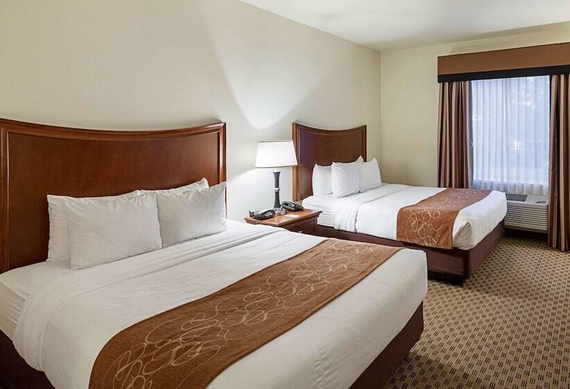 סוויטה מותאמת לאדם עם מוגבלויות, Comfort Suites San Antonio North  Stone Oak
