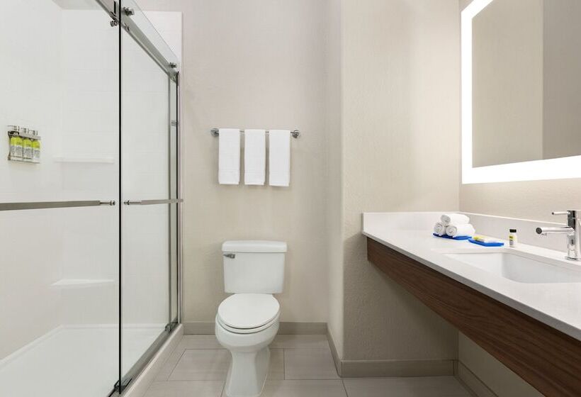 Номер Стандарт, Holiday Inn Express Hotel & Suites Mission Mcallen Area By Ihg