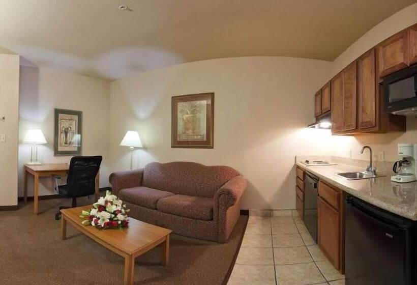 Президентский Люкс, Holiday Inn Express Hotel & Suites Mission Mcallen Area By Ihg