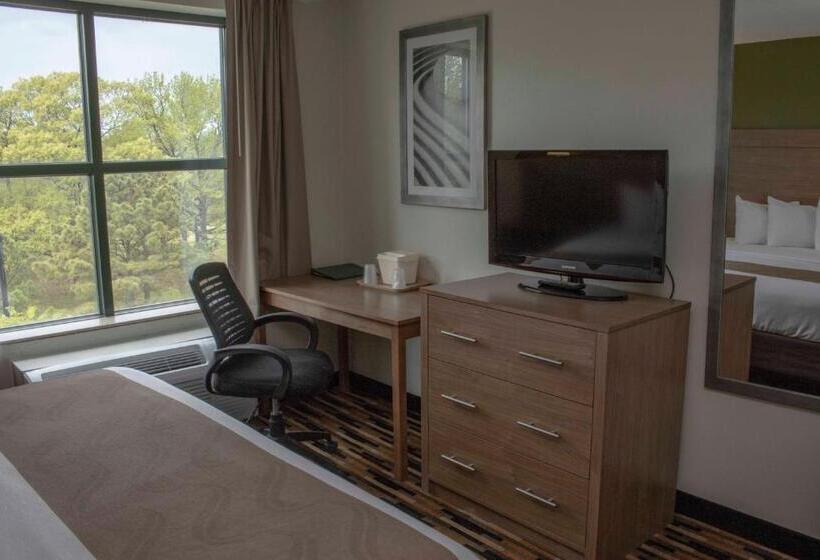 Люкс Кровать Кинг, Quality Suites Lake Wright  Norfolk Airport