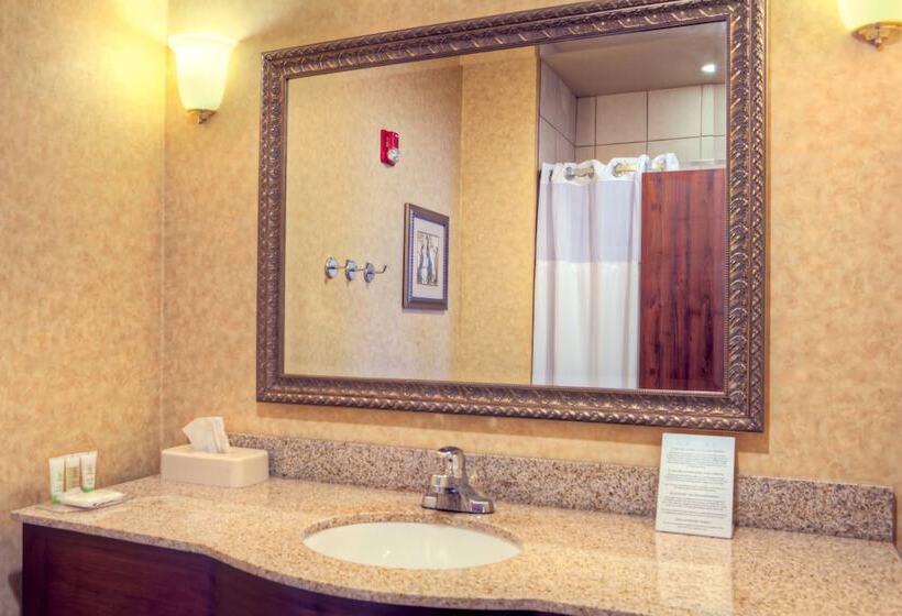 身障者適用スイートルーム, Staybridge Suites Laredo, An Ihg