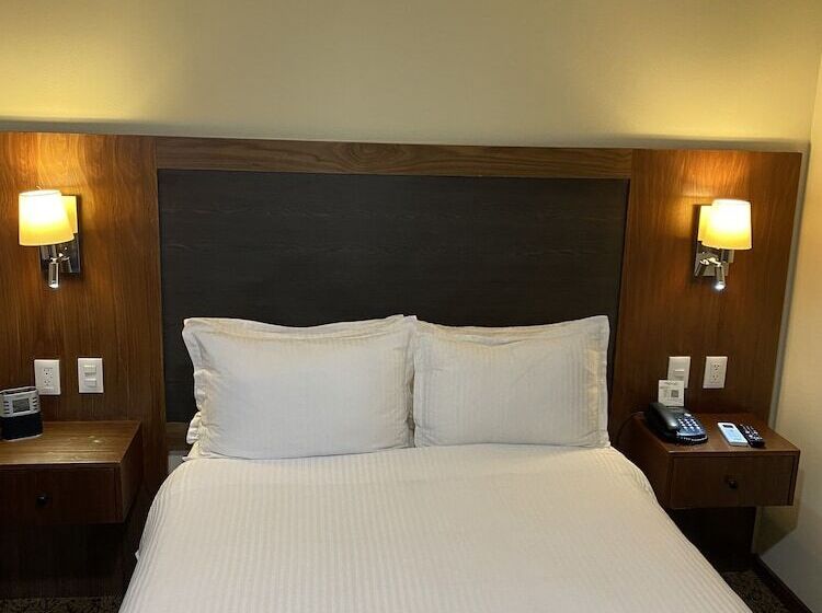 スイート, Wyndham Garden Mexico City Polanco