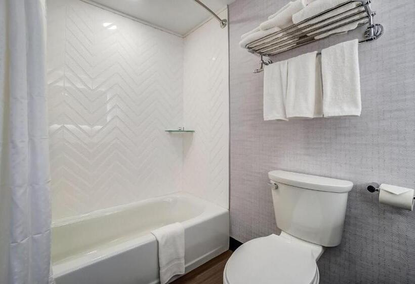 Номер Стандарт, Holiday Inn Gatineau   Ottawa, An Ihg