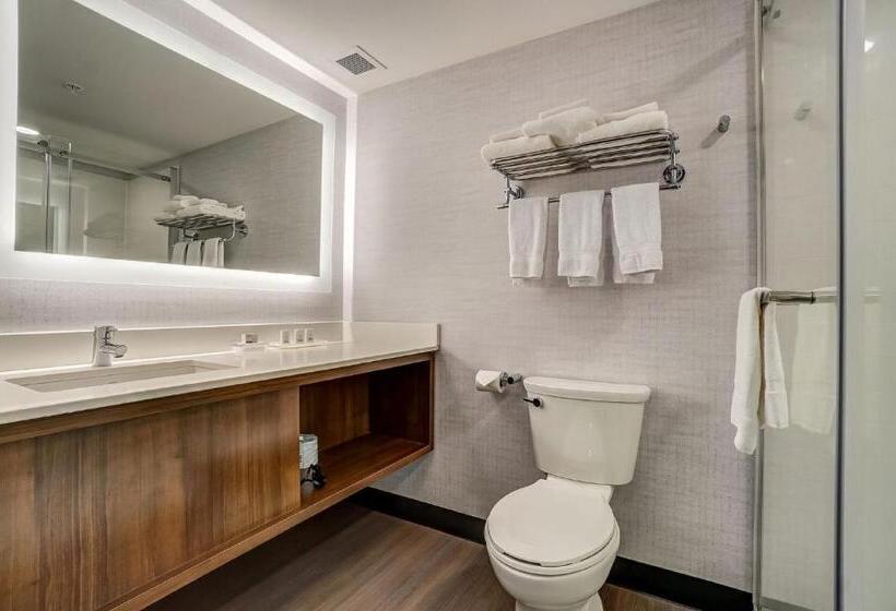 标准间, Holiday Inn Gatineau   Ottawa, An Ihg