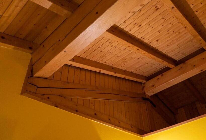 Quarto Estandar, New Genziana